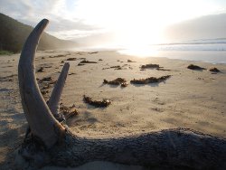 Beach near Point Hicks