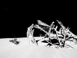 thurra-dunes-9313
