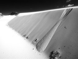 thurra-dunes-9323