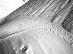 thurra-dunes-9399