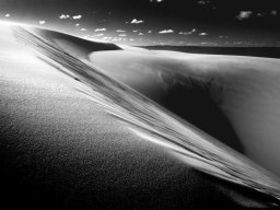 thurra-dunes-9419